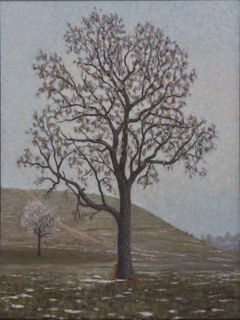 ff76e7f3-fa0d-4930-bbce