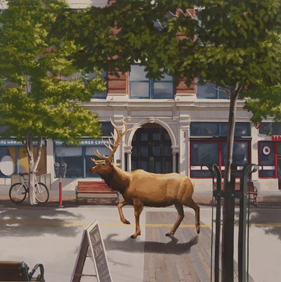 Street Elk Leslie Dixon