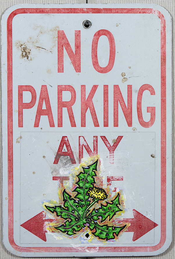 No Parking by Noble Hardesty