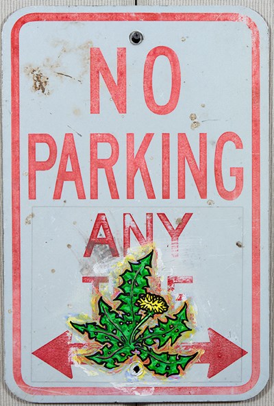 No Parking by Noble Hardesty