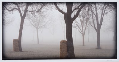 COUPLES FOGGY MORNING BY KEITH WALKLET