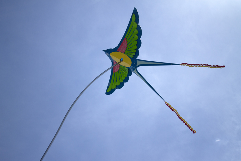 A closeup of one of the kites in the shape of a swallow with ribbons tied to its two long tail feathers.