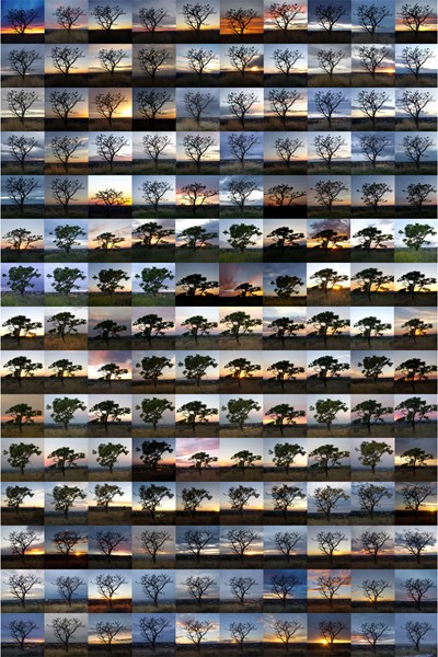 150 SUNSETS BY ELLEN CROSBY