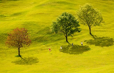 TREE KIDS