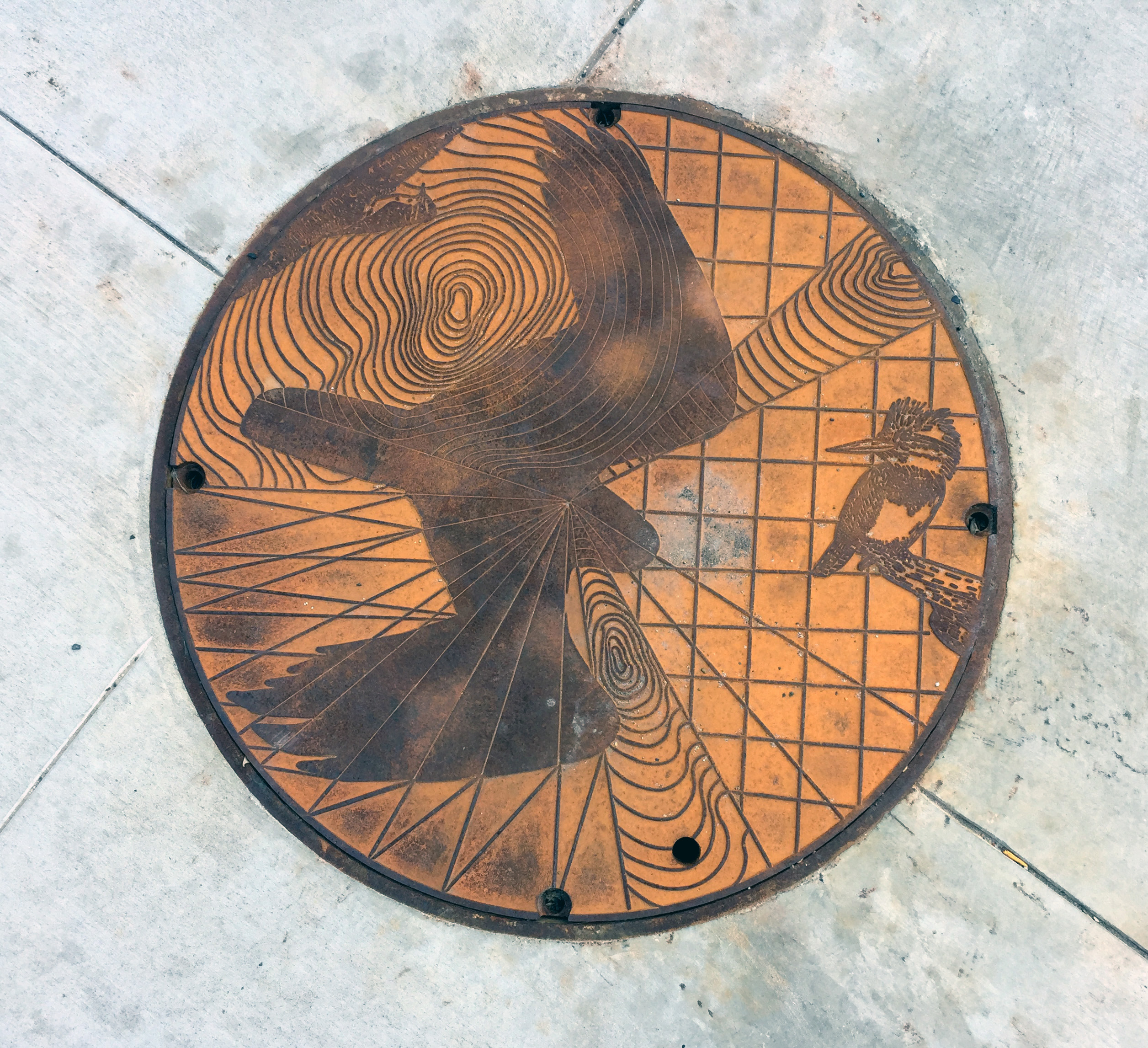 Utility Hole Cover by Kirsten Furlong