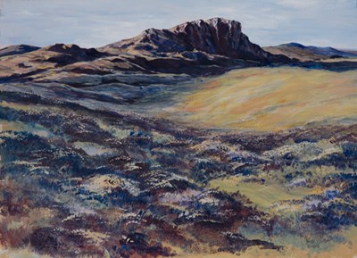 Owyhee County (1975 - 1979) by Dwight Williams