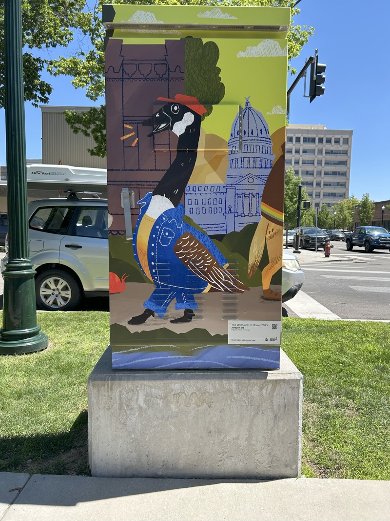 3068d701-6a5b-487b-aff5 (1)