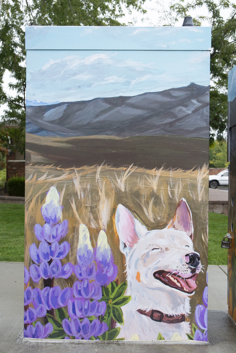 eb883291-445d-4766-b018