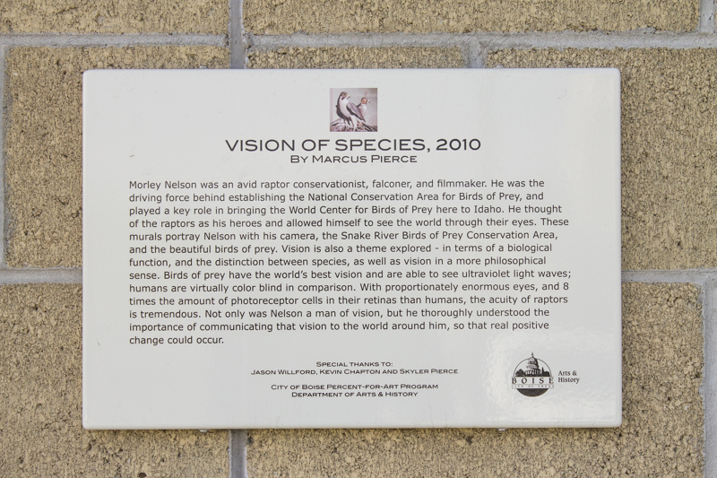 A painted mural made of three separate panels situated beneath the roof of a building. In the first panel are two hawks, one with a falcon's cap over its head. In the second/middle panel is a man holding a cameral overlooking a river canyon. In the third panel is a closeup of a hawk's head.