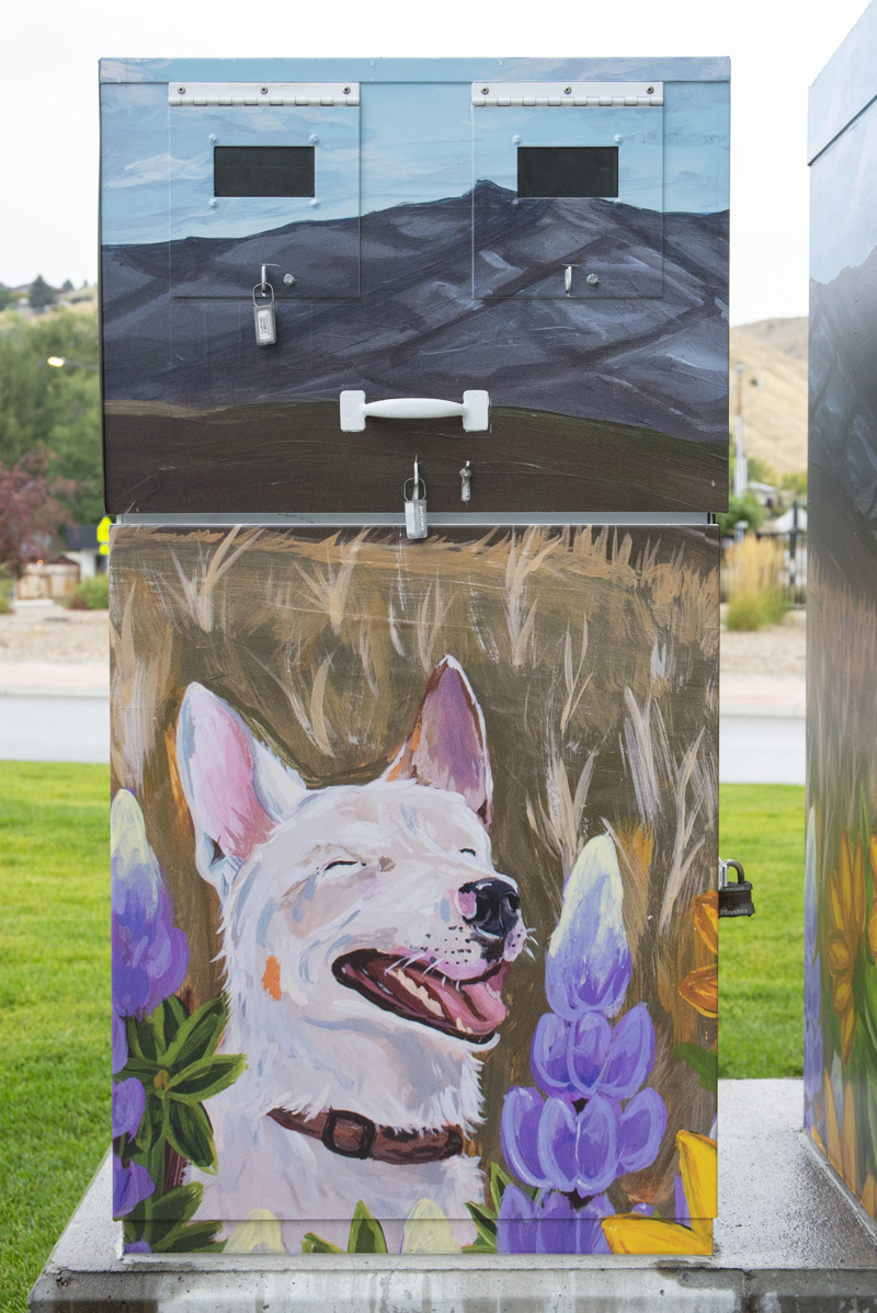 5e6b49fb-b25c-466d-8fe0