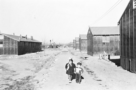 Niseitrials Nara 210 Cmb 12 1488