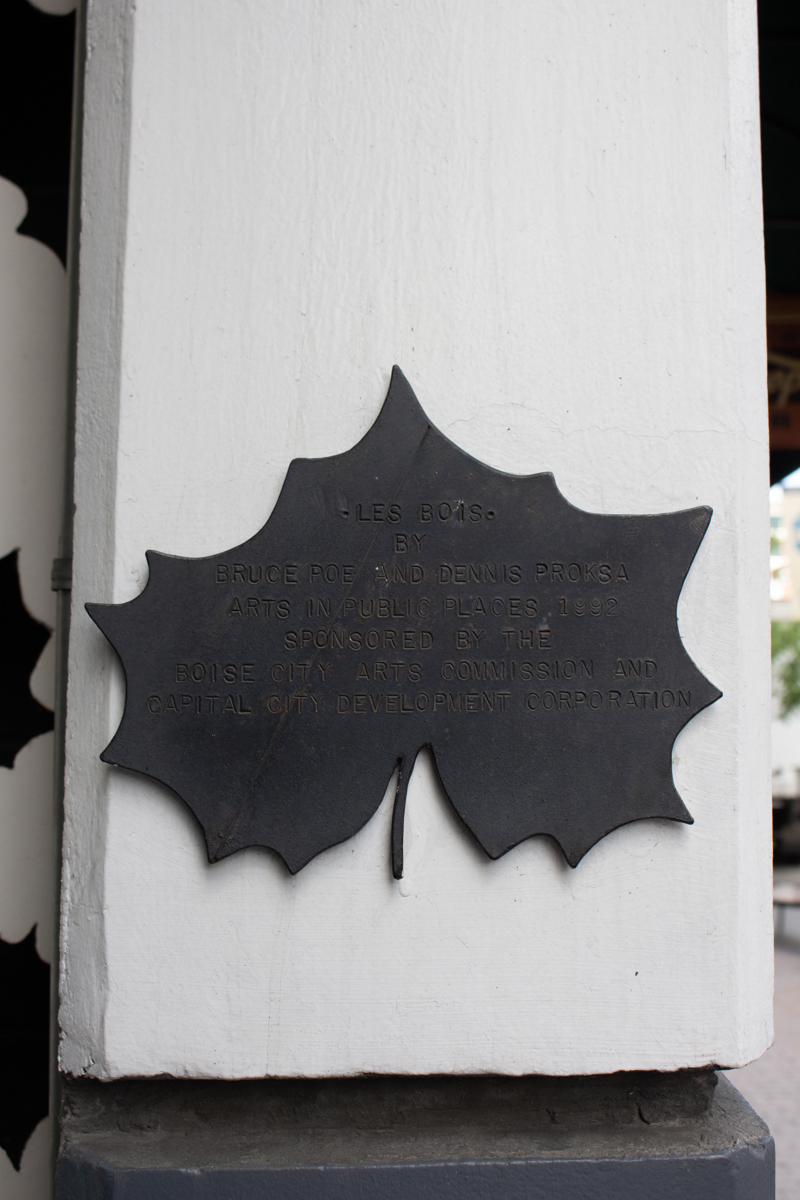 0503f2d7-e39f-4694-90fd (1)