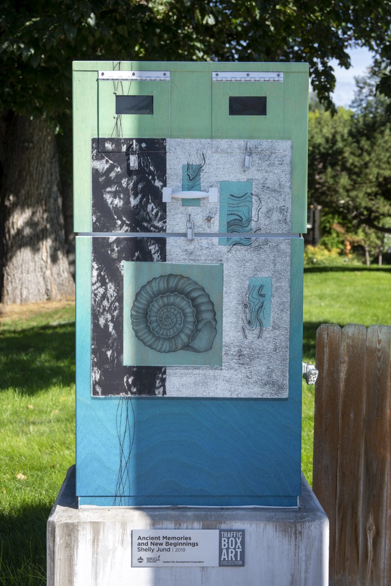 784c6a91-502c-40d5-a20e