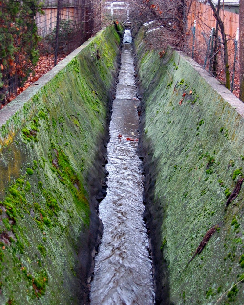 A deep concrete channel covered in green moss and algae with a stream of water running in it.