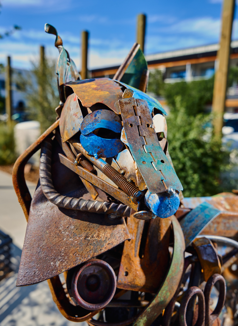 A sculpture of a coyote and her pup made out of found metal objects. The sculpture has been spray painted with areas of blue and orange.