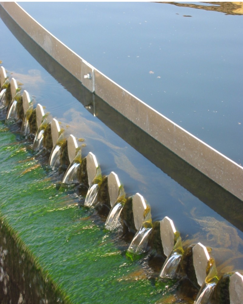 Water gently pouring through a toothed grate meant to separate out unwanted materials.