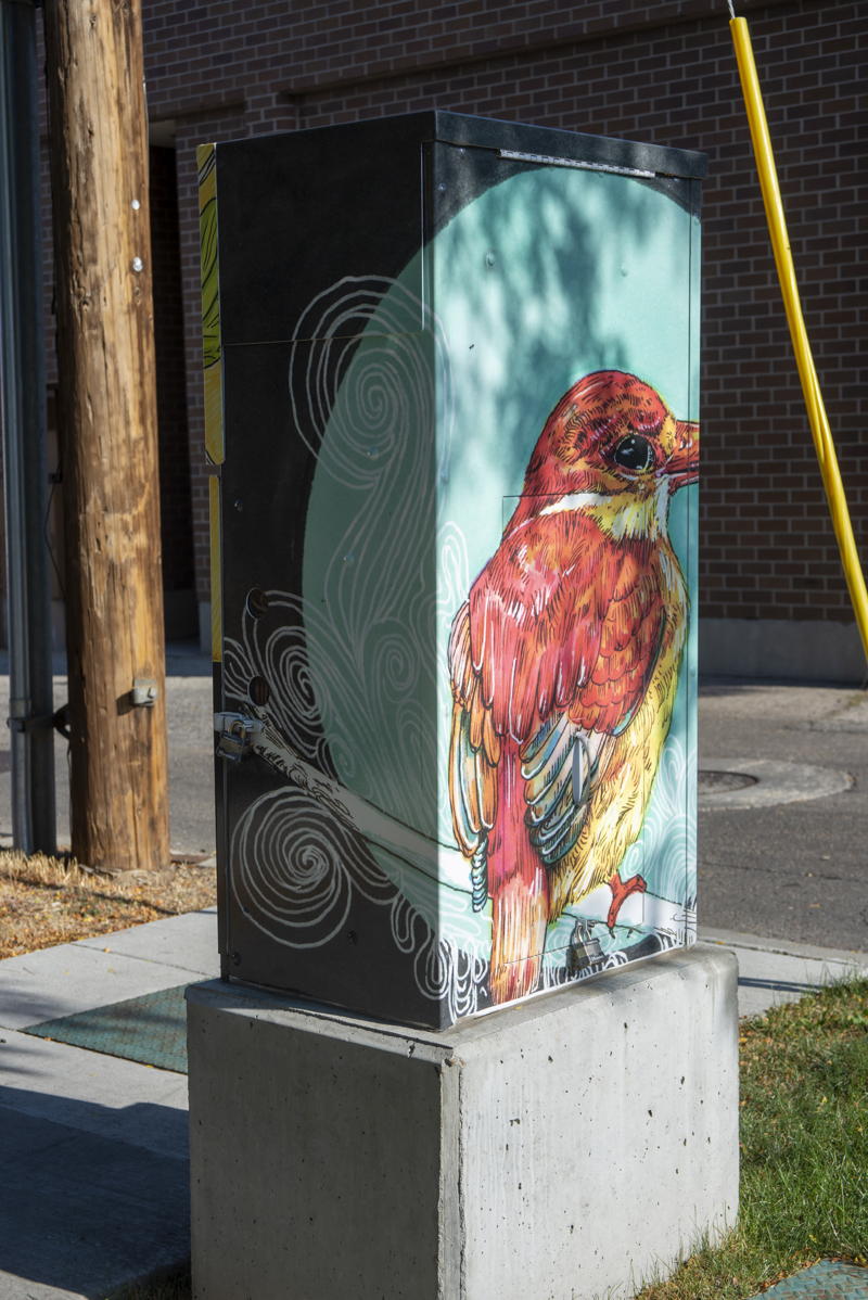 8142c18e-c632-4dc5-b5e0