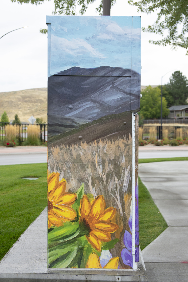 524153ba-8b8e-48c4-a563 (1)