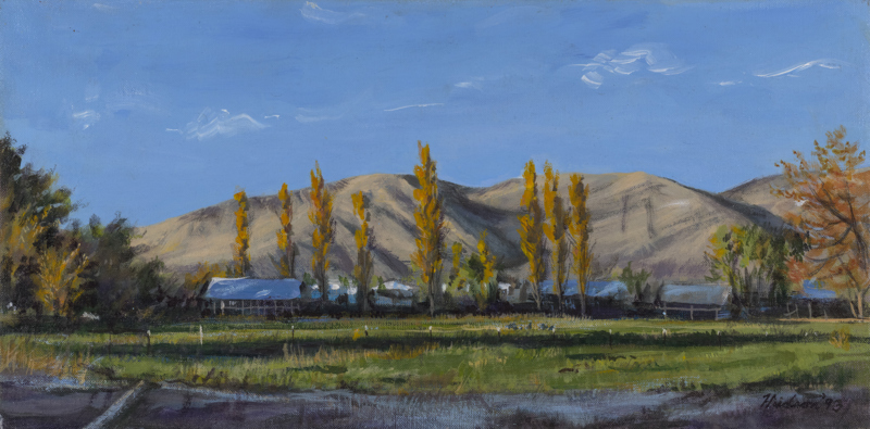 Image of a grassy pasture in front of a row of trees and buildings at the foot of the Boise Foothills. 
