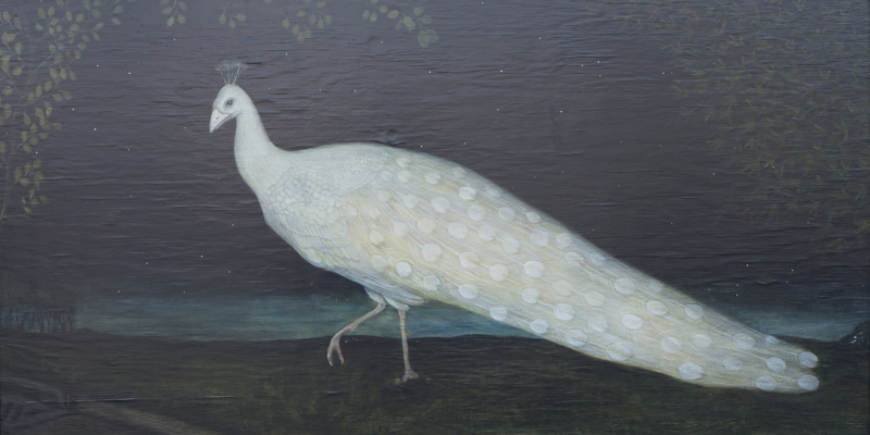 9620c9a6-84e4-42b4-b5d3