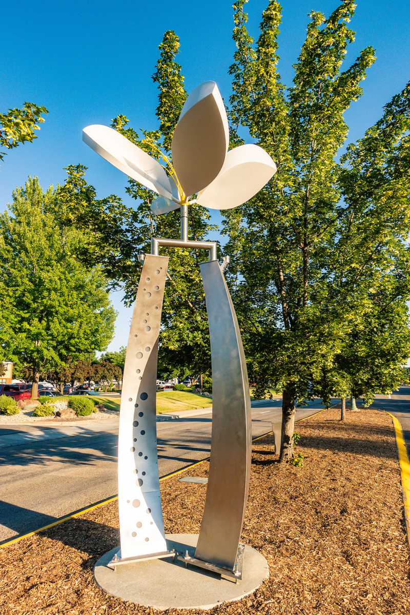 f7444351-7b2b-4843-9ed5 (1)