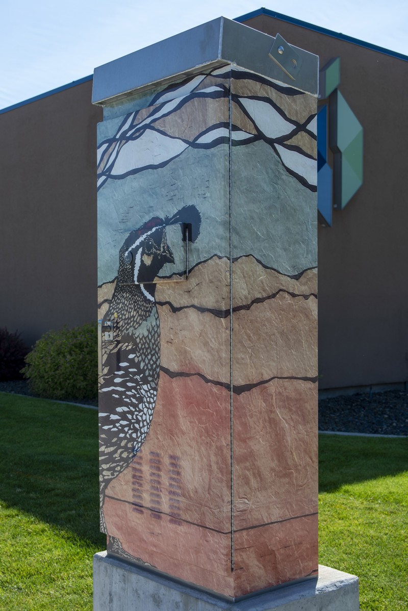 02eb6f9c-0141-445d-9557