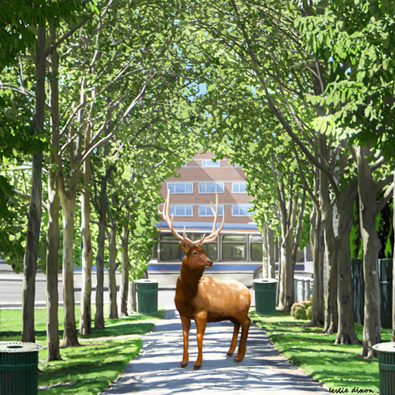 d2f9295d-a57a-4fc3-8d42