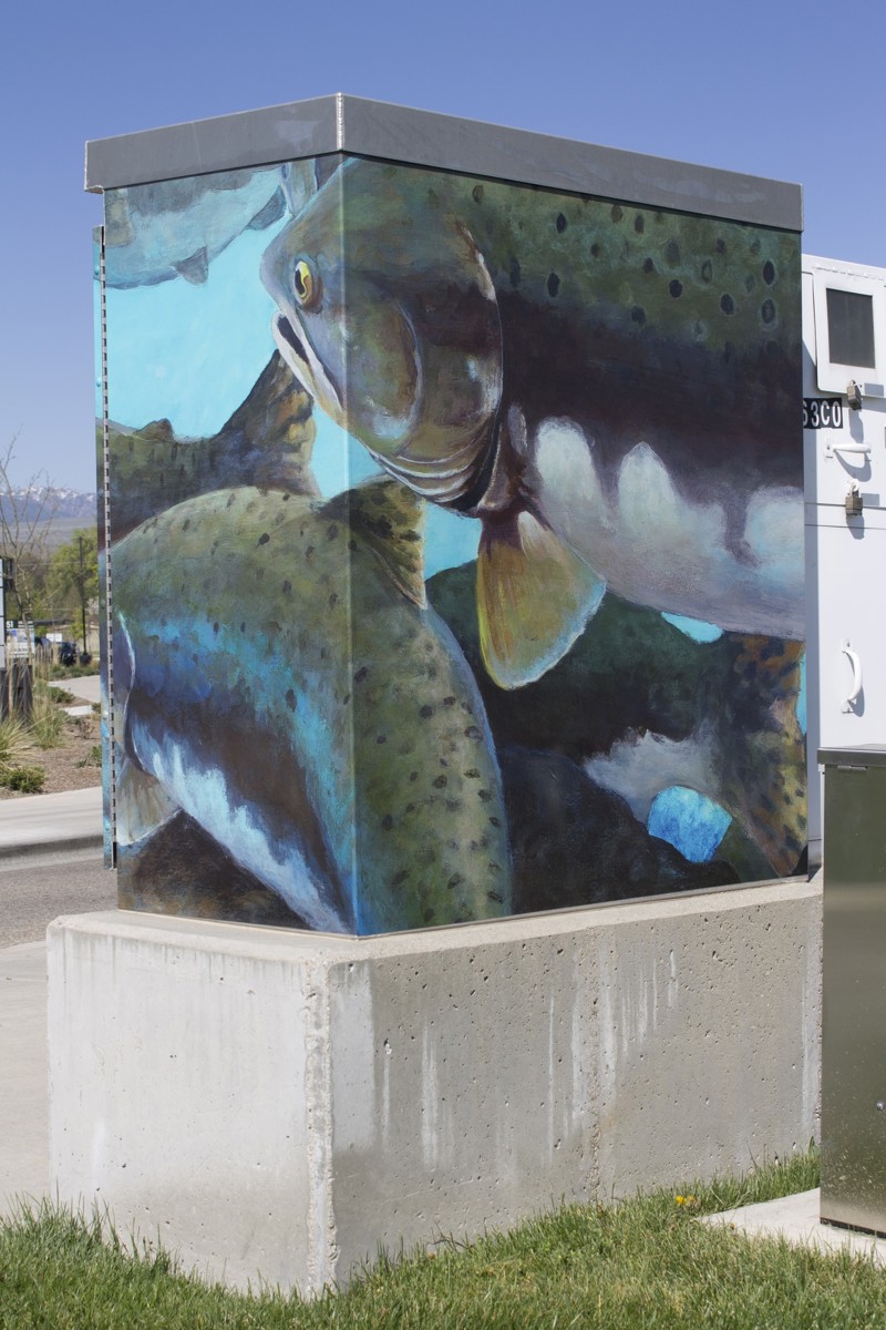 2e04c567-dbe7-40a4-aadc