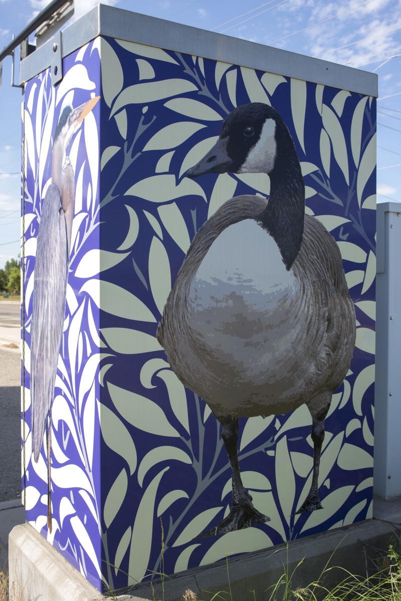 c023b9c2-60ae-429e-9e4a