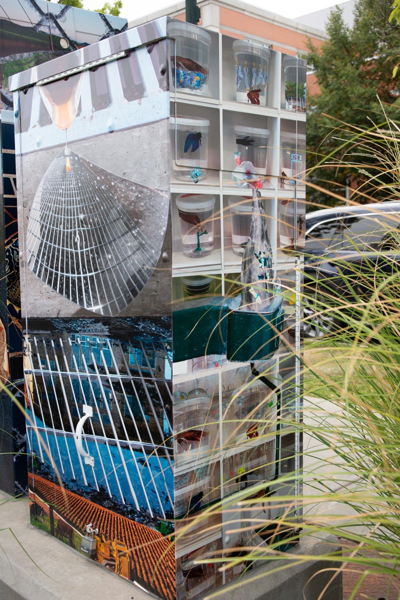 Artist name: Chloe French