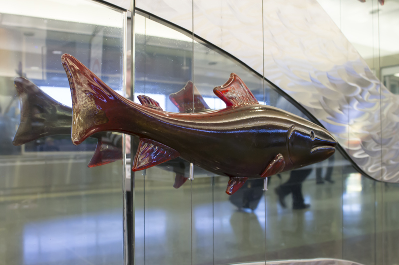 965c87bc-d01e-4f4e-83b6 (1)