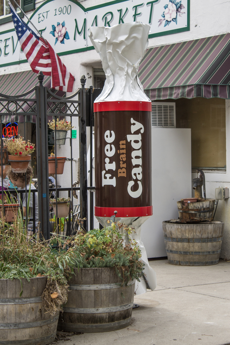 A little free library in the shape of a wrapped Tootsie Roll candy. In place of the usual wrapper text are the words "Free Brain Candy."