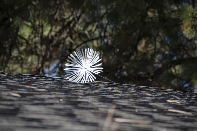 A closeup image of a large dandelion seed made of stainless steel and aluminum laying on the top of a shingled roof.