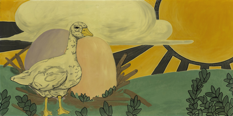 A white goose standing in front of two very large eggs in a nest.