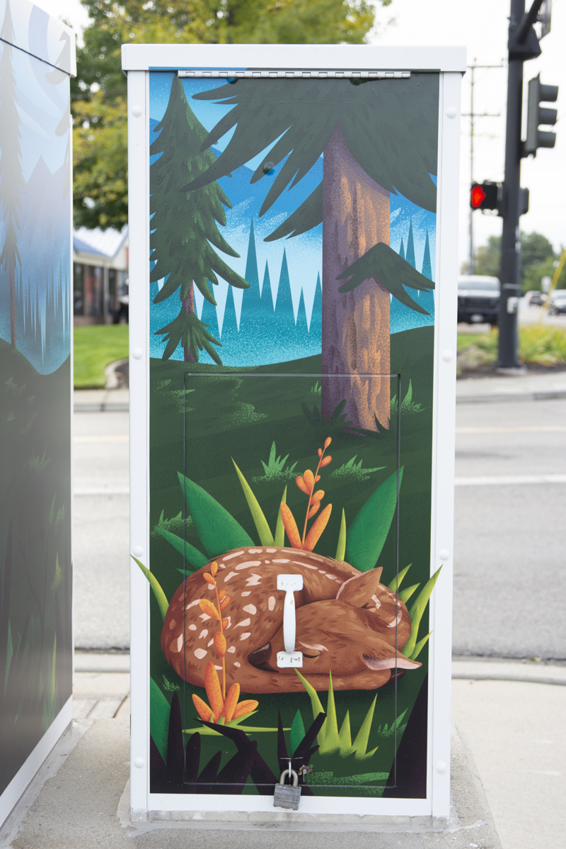 4c148820-3242-4e65-876d (1)