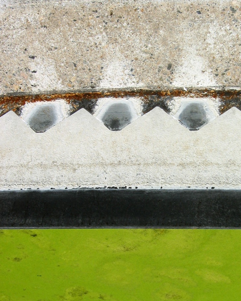The cement and metal edge of a water pool. The water is covered in a thick layer of vibrant green algae which contrasts with the white mineralization of the adjacent cement.