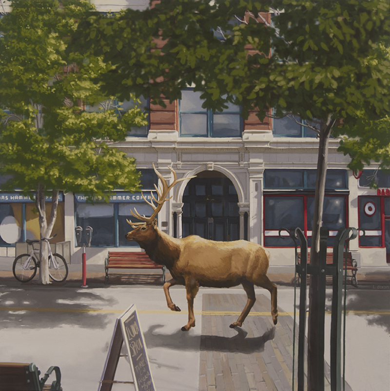 dixon_leslie-street-elk-2012.jpg