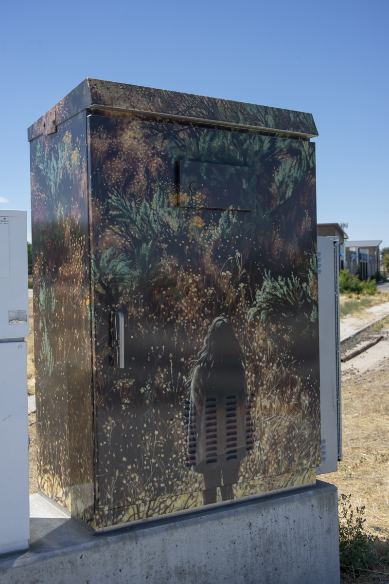 1e2cc30f-de5d-4302-9ded