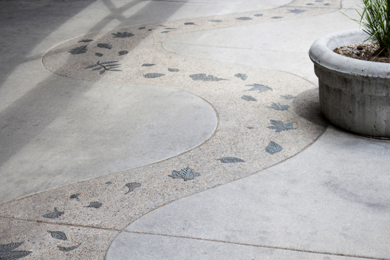 A series of patinaed bronze leaves inlayed in pea gravel aggregate cement that curves within the regular cement of a city sidewalk.  
