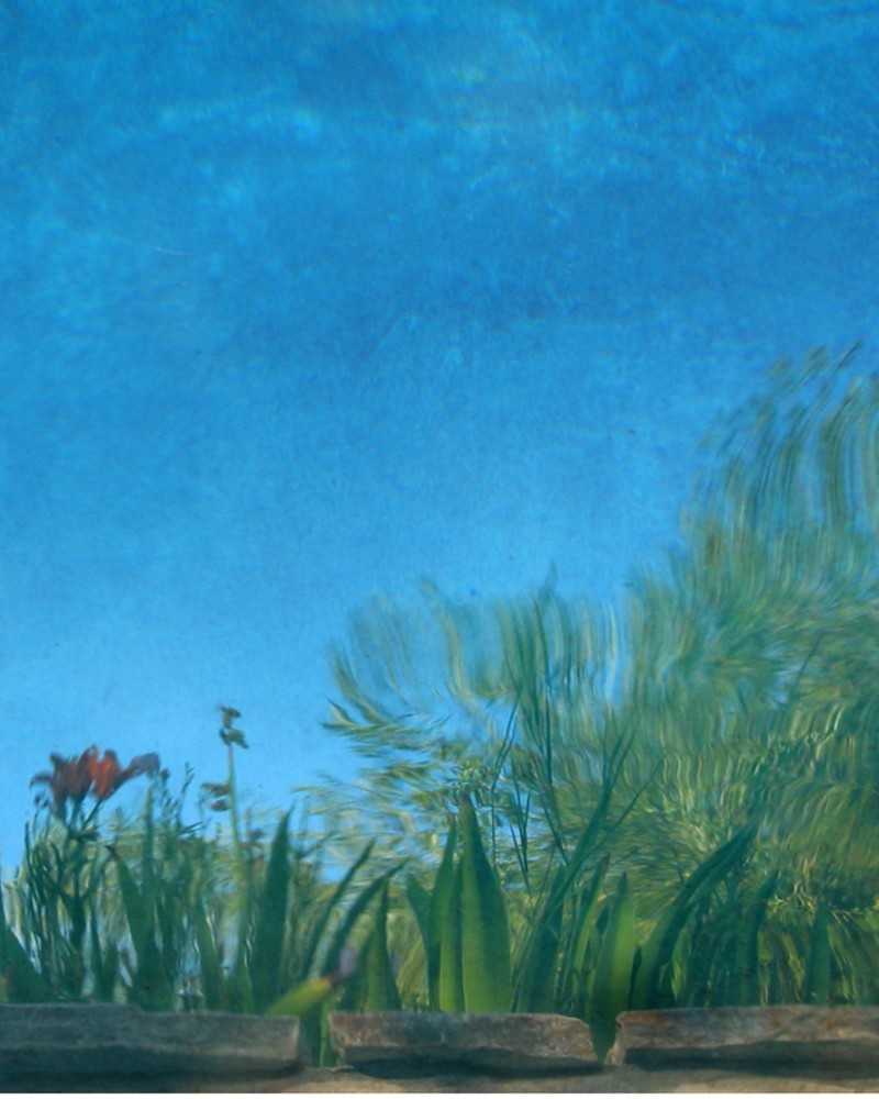 The distorted water surface reflection of flowering plants and trees. 