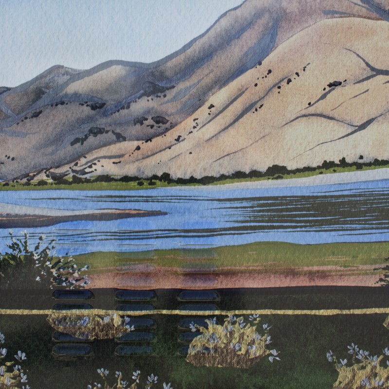 47ccdd22-a67e-4206-aff1